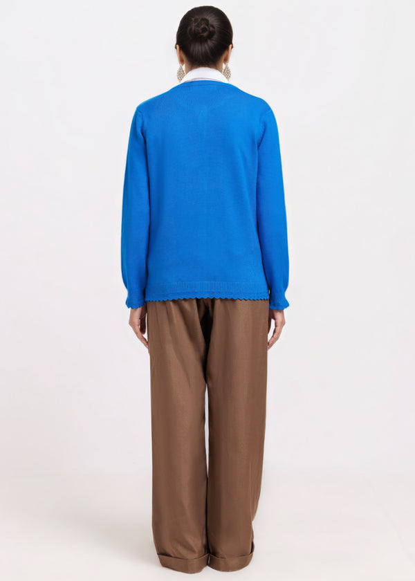 Ro-Blue-R-Neck Cardigan Full Sleeves Sweater (25Y-227-67)