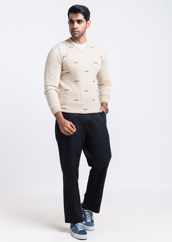 Swan-V-Neck Full Sleeves Sweater (505-14)