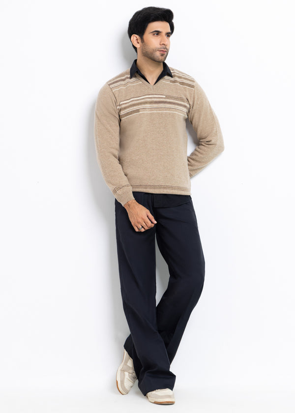 Mashroom-V-Neck Full Sleeves Sweater (509-14)