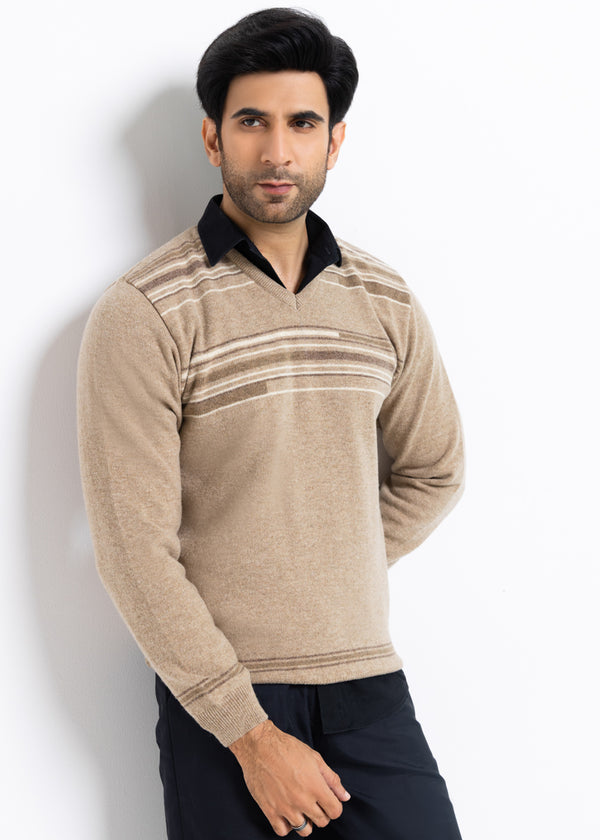 Mashroom-V-Neck Full Sleeves Sweater (509-14)
