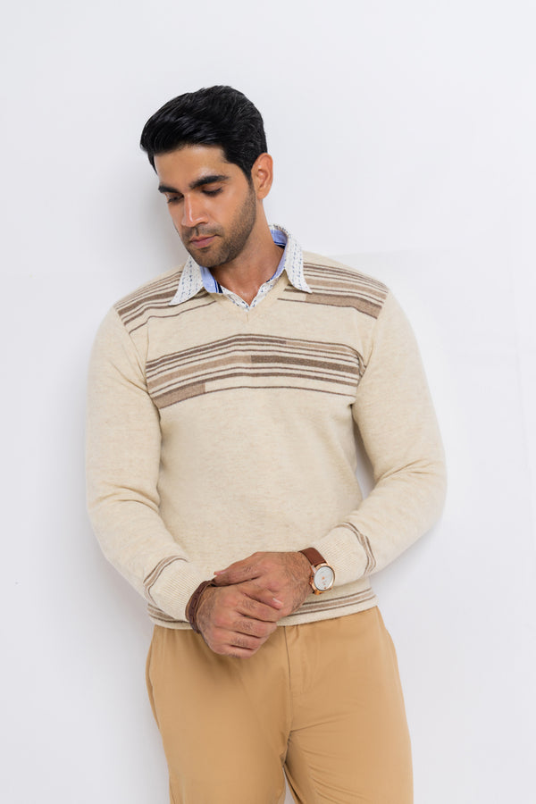 Swan-V-Neck Full Sleeves Sweater (509-14)