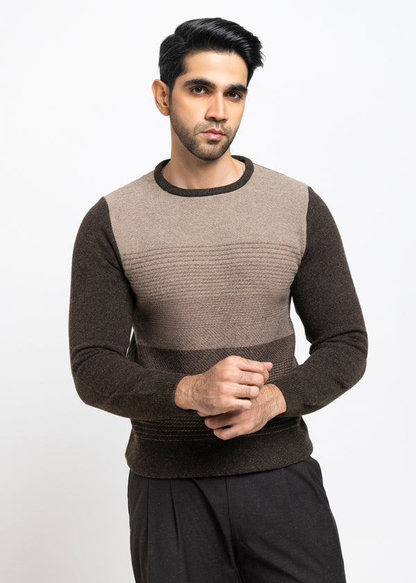 Brahmin-Round Neck Full Sleeves Sweater (853-14)