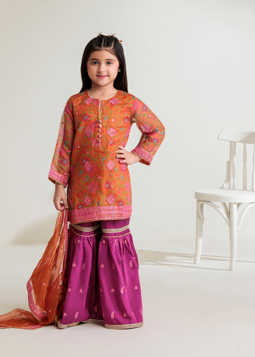 Bonanza Satrangi Orange-Lureux-Net-3 Piece (GP3PSFW25H10N2), view 1