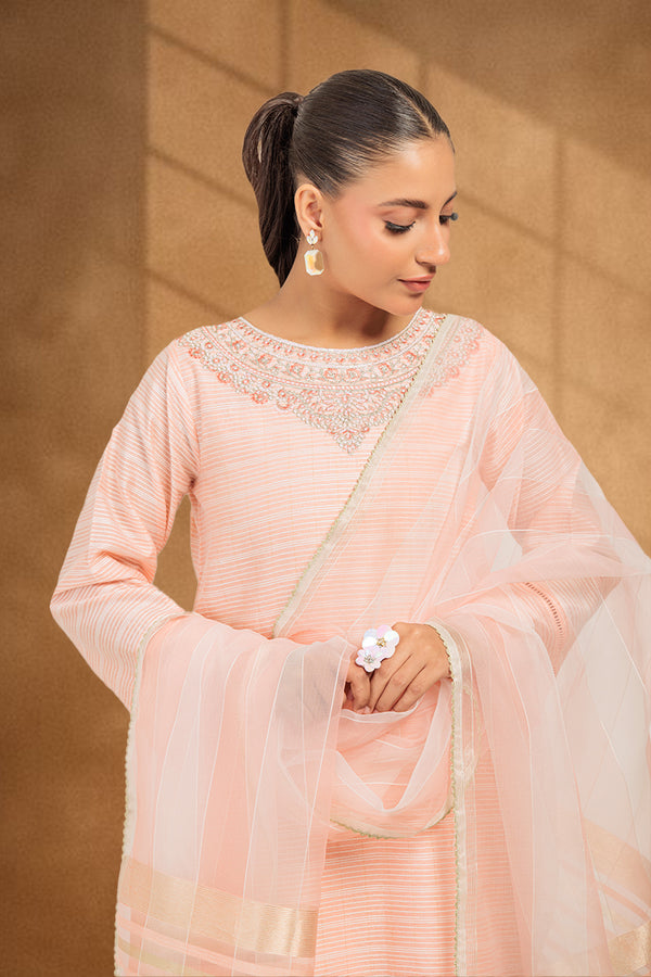 PINK-FANCY-3 PIECE (PWS5243P14)