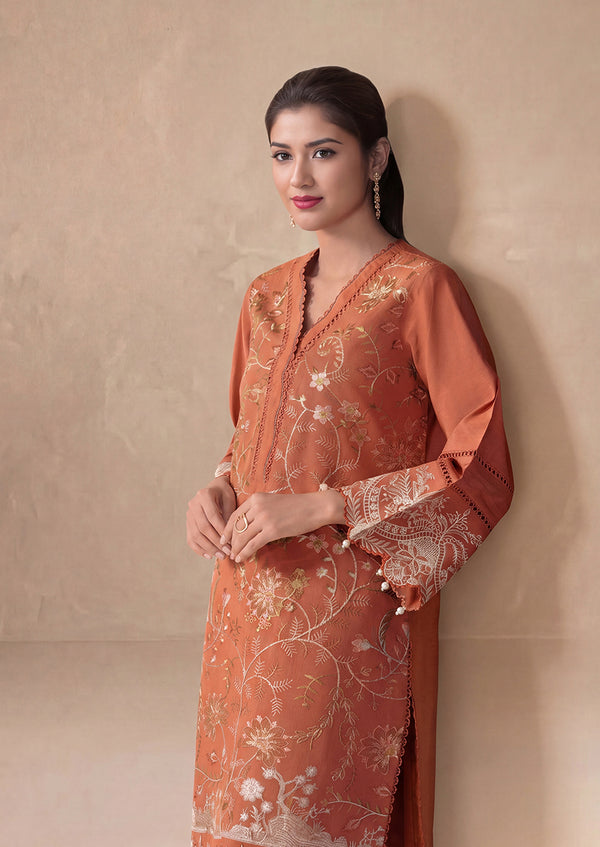 Rust-Cotton Silk-2 Piece (WPS25SE2023)