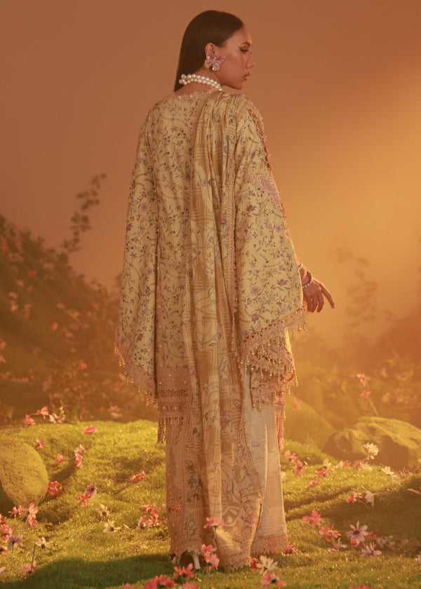 Daily Lily - 3 Pc (WU3PPBS25LI7A5)