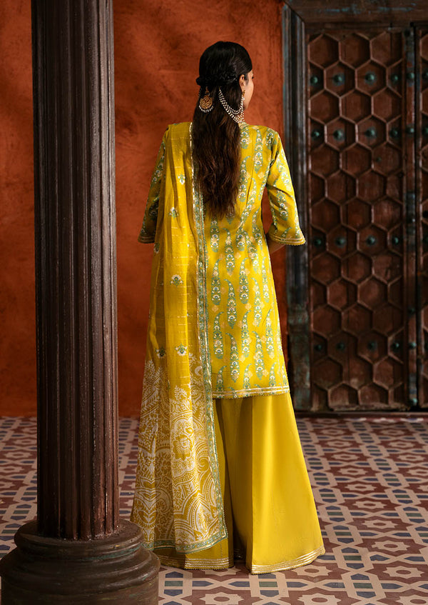 Paisley - 3 Pc (WU3PPFS25ZA5)