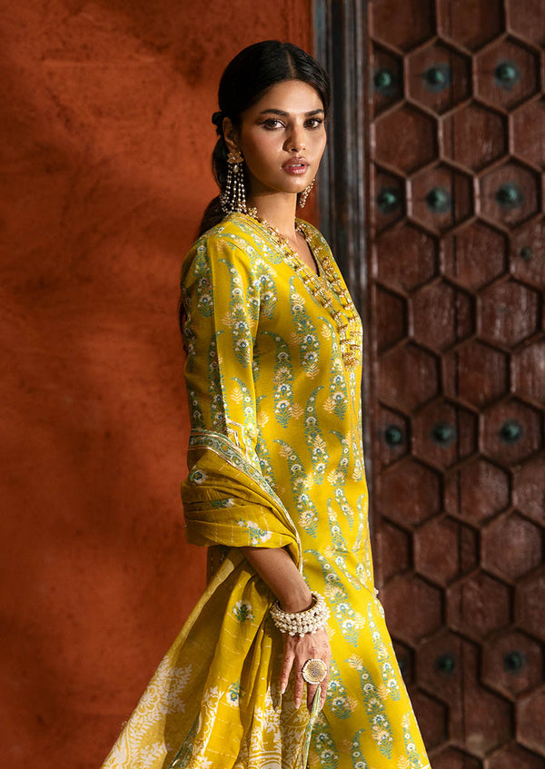 Paisley - 3 Pc (WU3PPFS25ZA5)