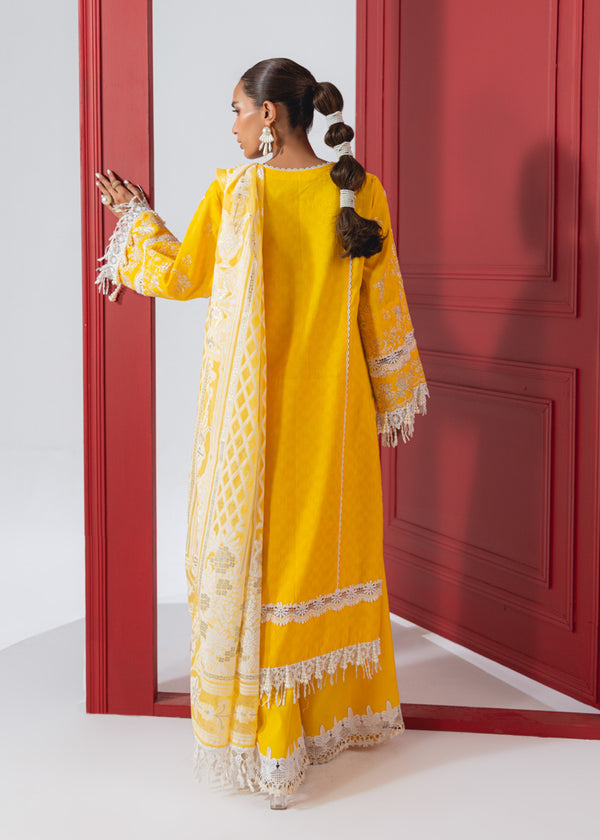 Daisy - 3 Pc (WUS25DE3184)