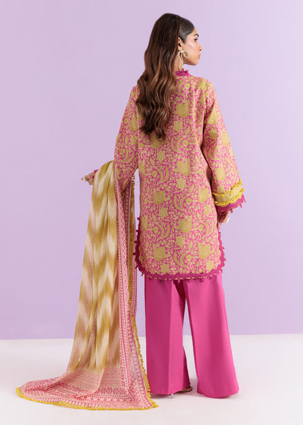 Carnation - 2 Pc (WUS25PSD2057)