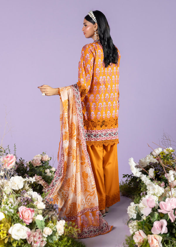 Sinensis - 2 Pc (WUS25PSD2060)