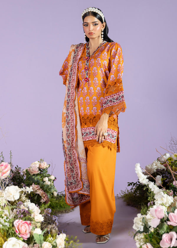 Sinensis - 2 Pc (WUS25PSD2060)