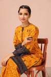 ETHNIC HUES - 2 PC (ASR232P23)